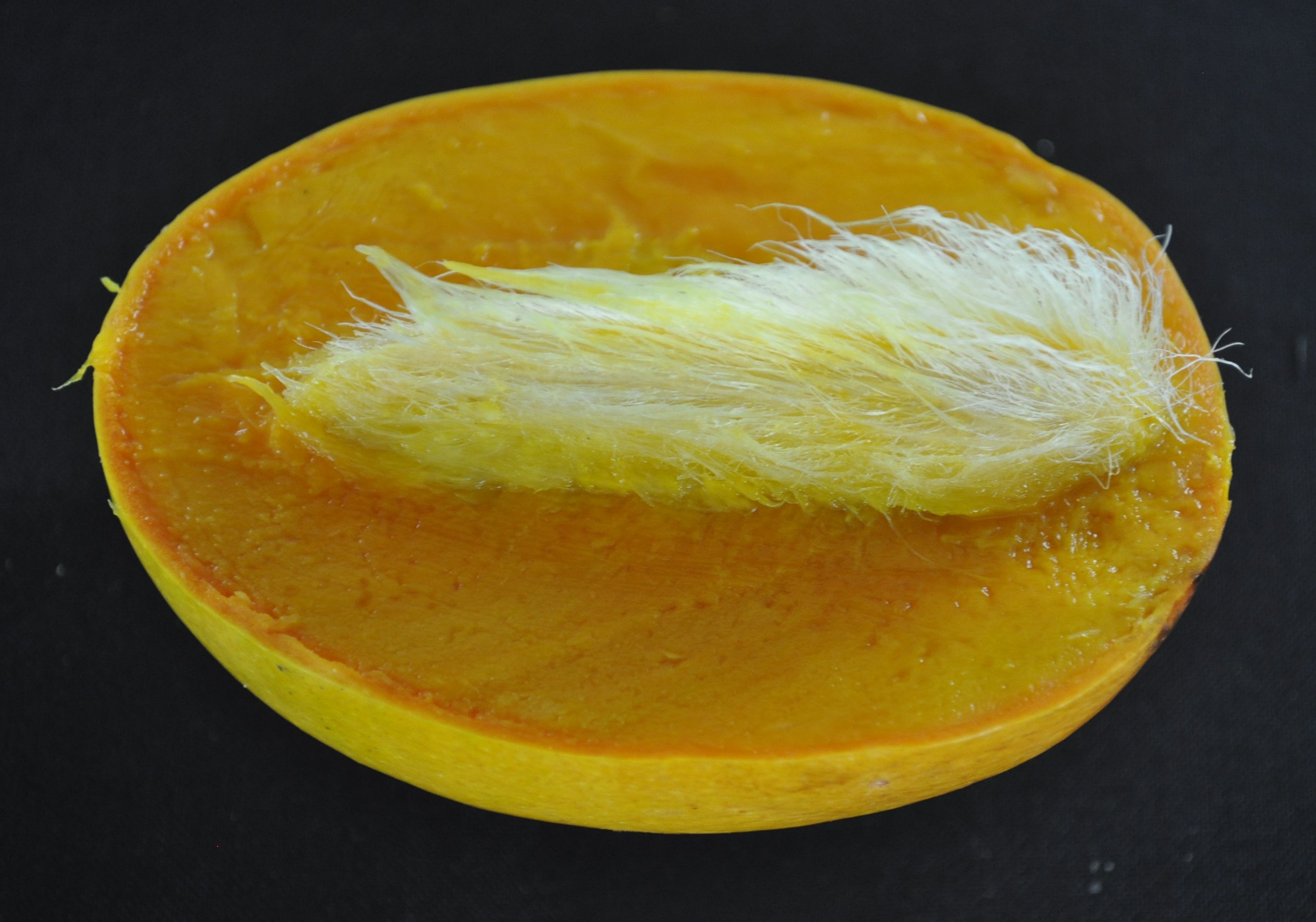 Alphonso