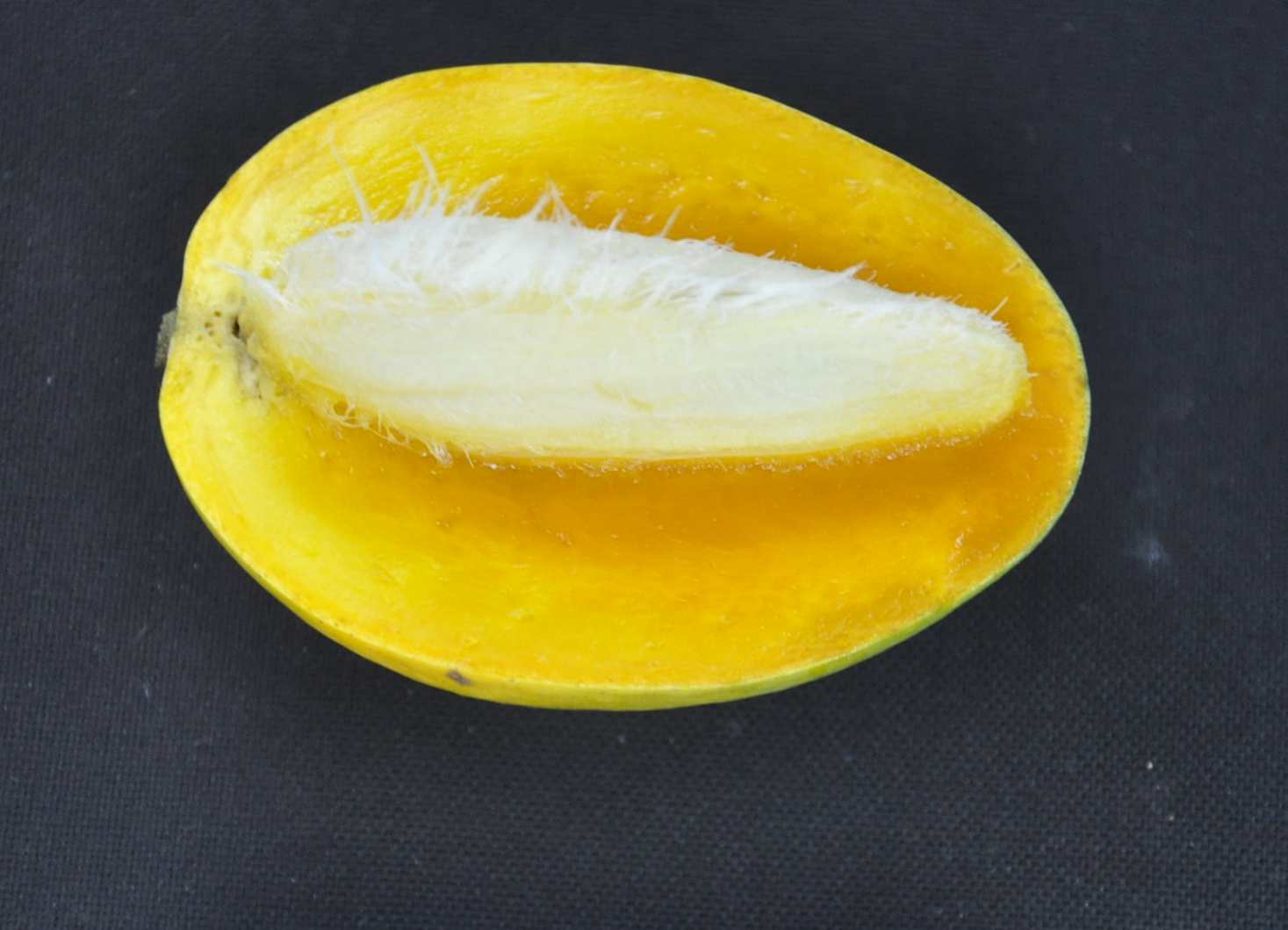 Gaurjit