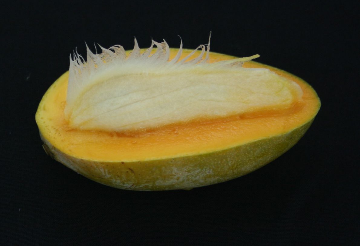 Prabhasankar