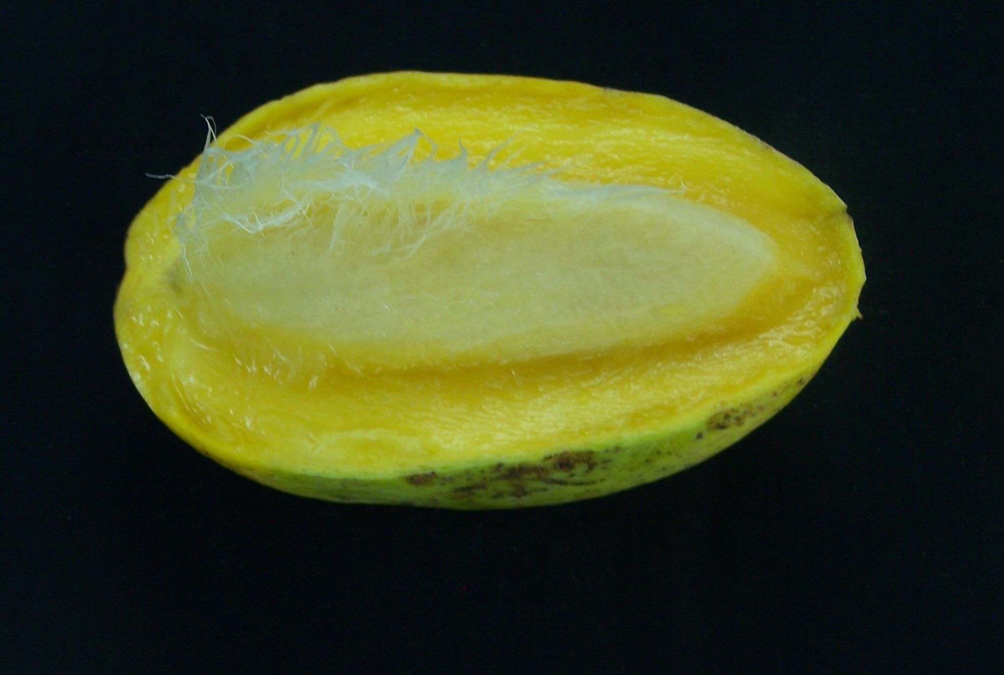 Zardalu