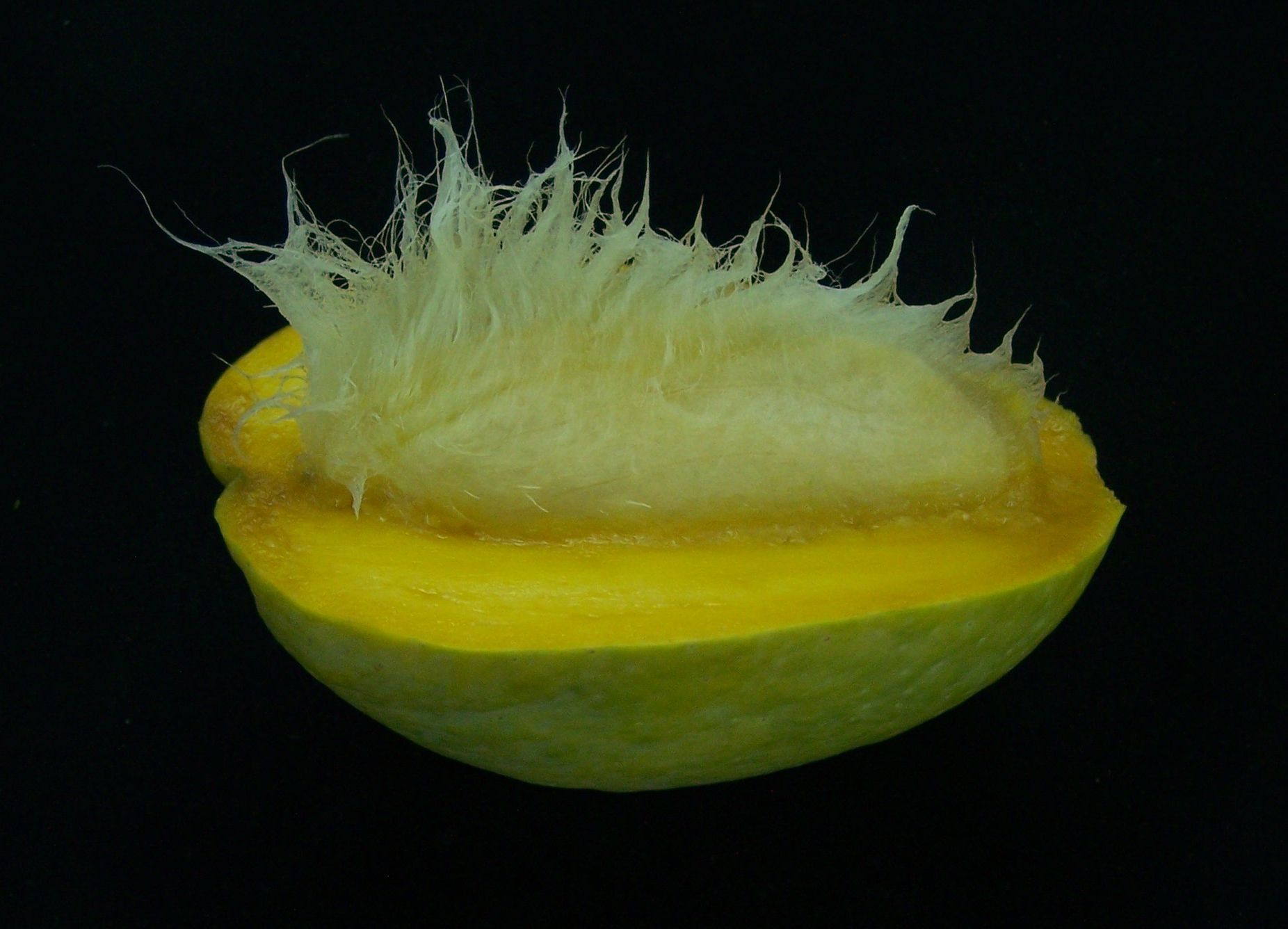 khas-ul-khas