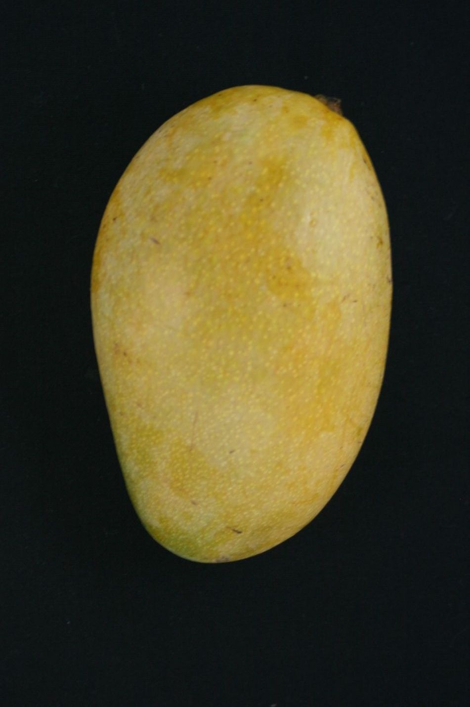 Prabhasankar