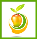 Mango Pulp
