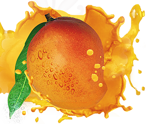Mango Puree