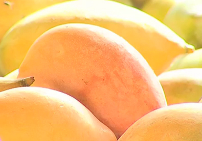 Mango Pulp