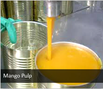 Mango Pulp