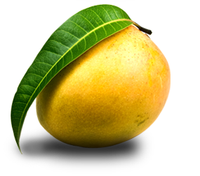 Alphonso Mango Pulp