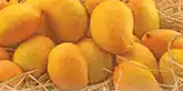 Frozen Mango Pulp