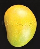 Himsagar
