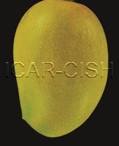 Kesar