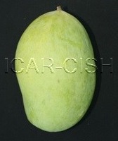 Langra